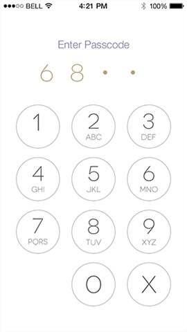 Cloudly Labs - Roomz - Enter Passcode (iOS App)